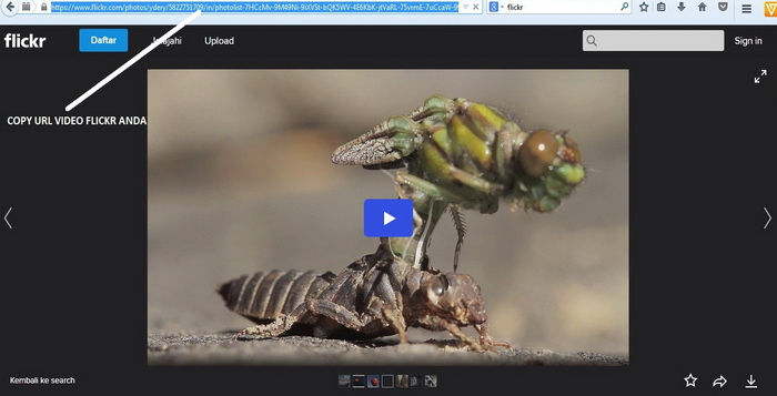cara-download-video-dari-flickr-tanpa-software-a